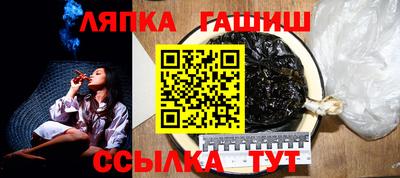 гидра Заводоуковск