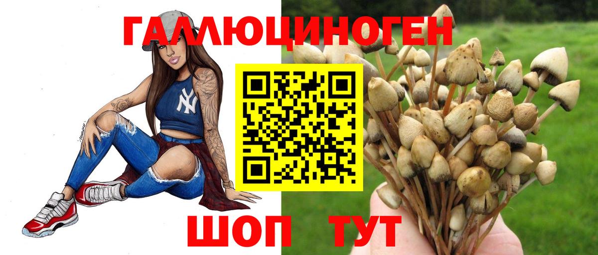 Егорьевск  Галлюциногенные грибы Cubensis  Вход с VPN  Галлюциногенные грибы ЛСД 